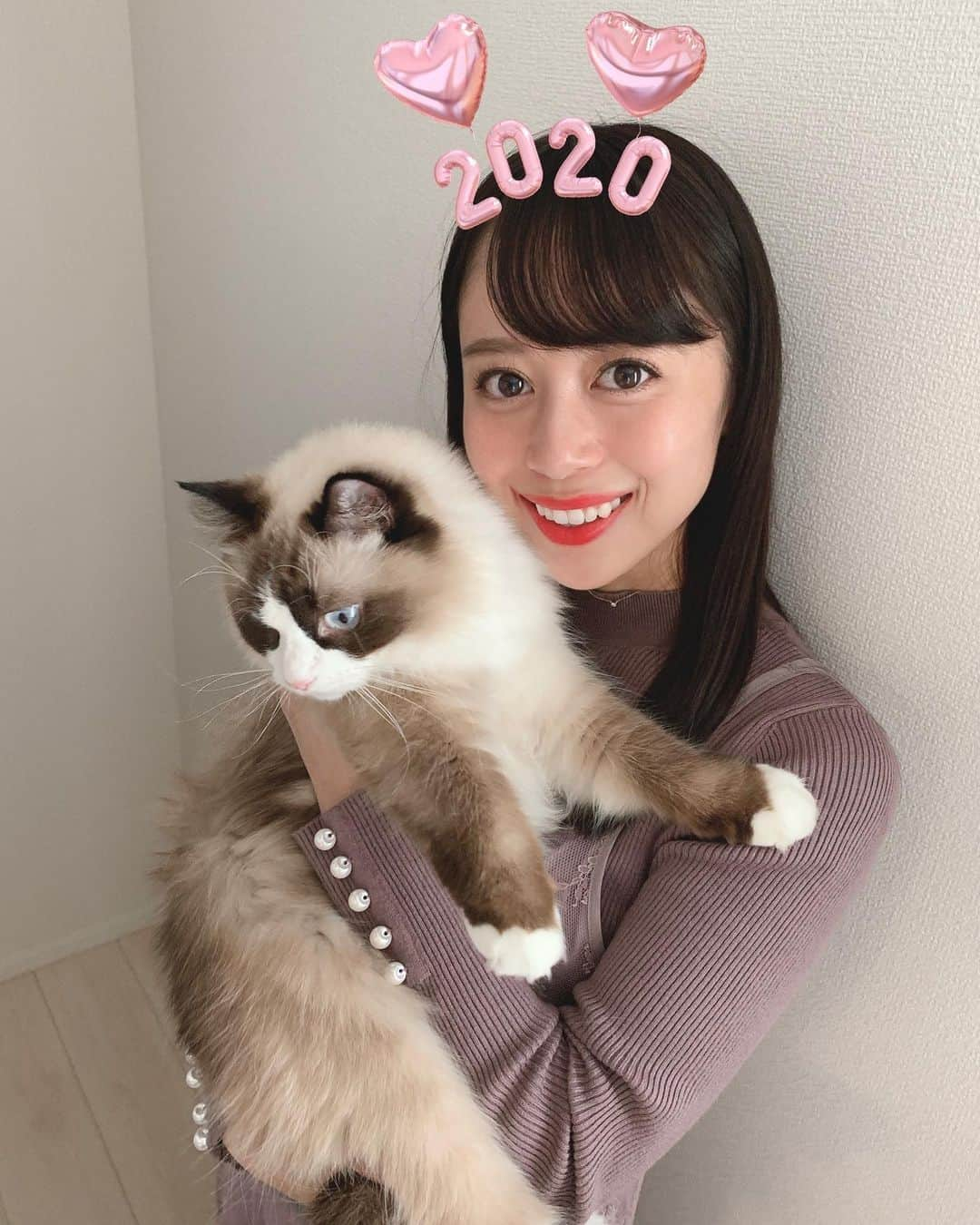 國嶋絢香のインスタグラム：「‪Happy New Year 💗💗‬ ‪2020年、今年も皆さんどうぞ宜しくお願い致します🙇🏻‍♀️✨ ‪ってシェリーも言うております🐈✨‬ #謹賀新年 ‬#うちのプリンセス ‬」