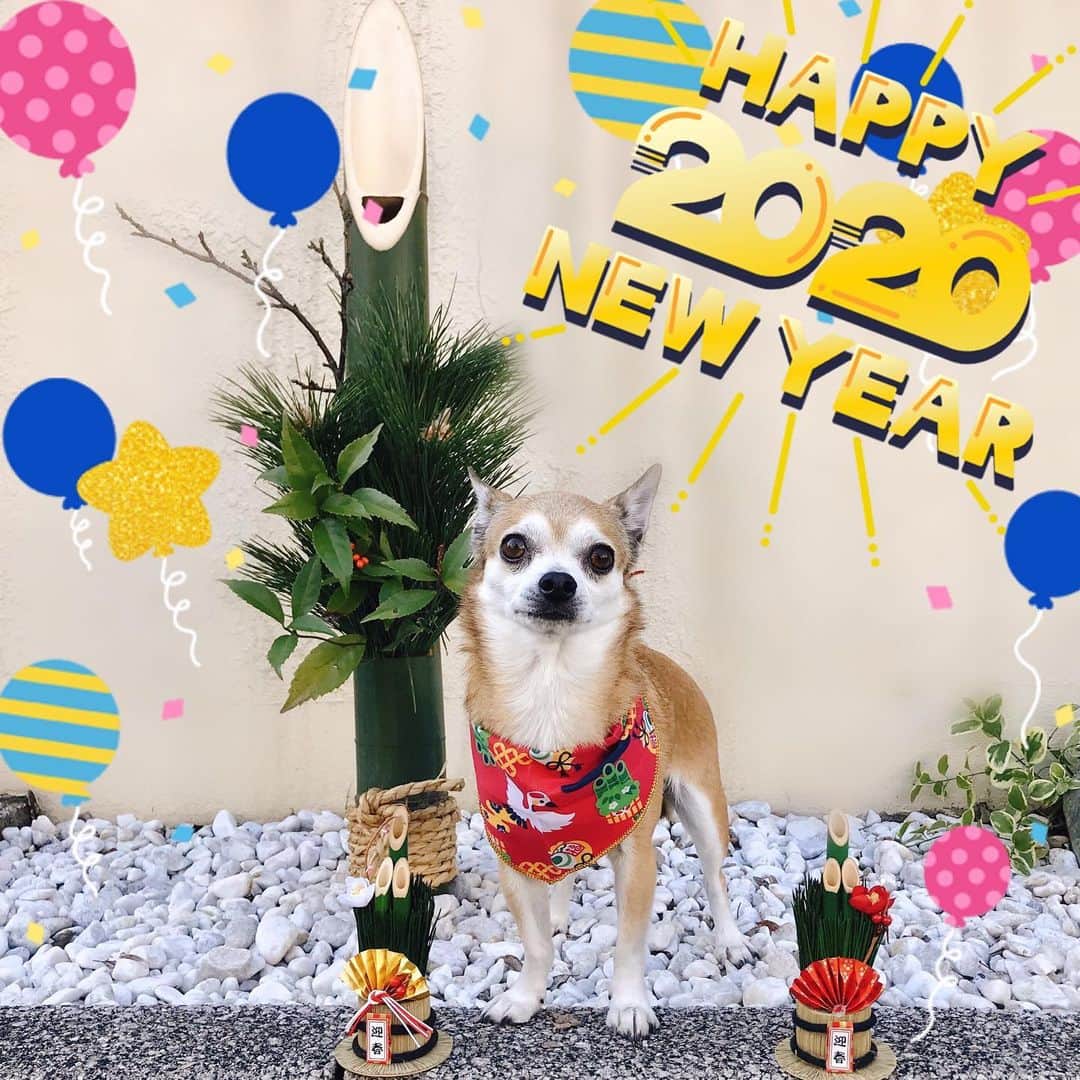 如月蓮さんのインスタグラム写真 - (如月蓮Instagram)「2020.1.1﻿ あけましておめでとうございます！！﻿ yeh！！！﻿ ハッピーだぜぇ！！！﻿ .﻿ お互い、健康で楽しい年にしましょう☆﻿ みんな愛してるぜ！！！﻿ .﻿ .﻿ .﻿ #本年も宜しくお願い致します﻿ #如月蓮﻿ #RENスタグラム﻿」1月1日 10時55分 - kisaragi.ren2