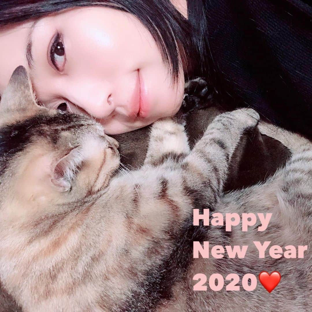 黒猫さんのインスタグラム写真 - (黒猫Instagram)「新年明けましておめでとうございます🎍⛩✨ 今年も熱く魂を燃やして真っ直ぐに陰陽座道を歩んでまいりますので、どうぞよろしくお願い申し上げます😊 まずはツアー再開に向けて全力を尽くしますので、待っていてくださいね🤘 2020年が皆さんにとって素晴らしい年になりますよう、心からお祈りしております💕 Happy New Year‼️ May 2020 be a happy and great year for you‼️😊💕✨ #陰陽座 #onmyouza #japanesemetal #jmetal #heavymetal #保護猫 #麦わら猫」1月1日 11時17分 - kuroneko_omz