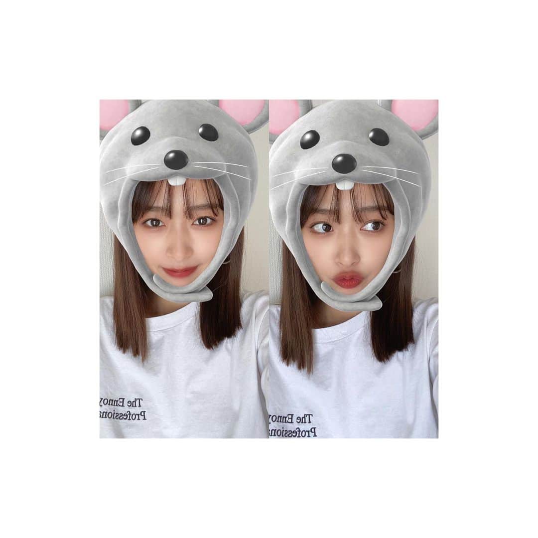 近藤千尋のインスタグラム：「新年明けましておめでとうございます🎍⛩✨ 今年も宜しくお願い致します💕🐭 毎日健康で穏やかに過ごすことが出来ますように…🤗❤︎ 2020年、どんな一年になるかなぁ✨ #2020 #元旦」