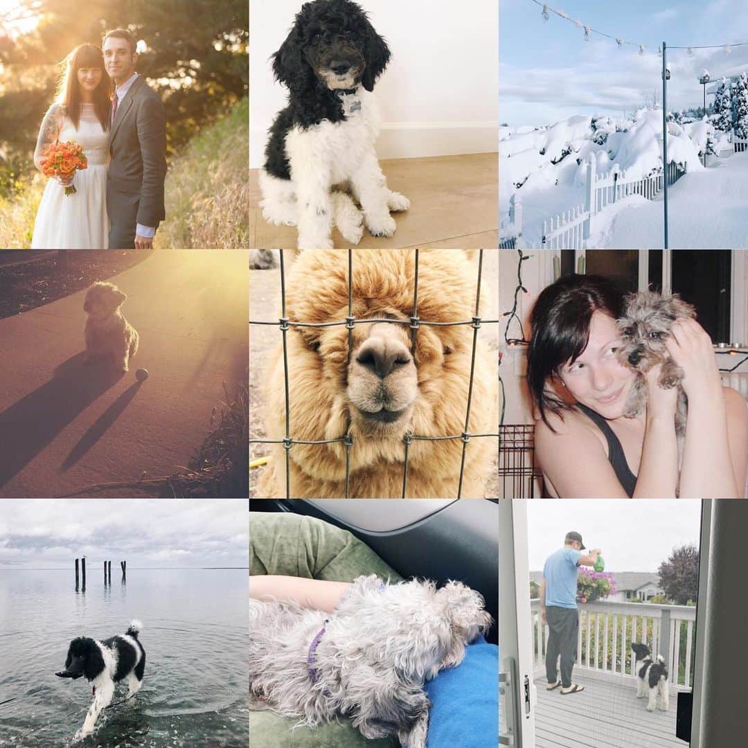 Robin May Flemingのインスタグラム：「2019 was the year I settled. At some point in the preceding days that make up months that make up years that make up the decades you all love so much to recap, my life sprung a leak and my passion began flowing out. Then, between the winter and the spring, as birds were chirping and flowers unfurled, I quietly watched and heard and felt that final glug. And I relaxed.  No, I gave up.  No. I settled. The best part of my days became the nights, when I could dream of all the things I used to dream about in my waking life. Yesterday I heard a song that reminded me of being a teenager. "There's a reason so many adults stop listening to this music," I said. "It makes you feel too much." And with a thud, I indeed felt something: I felt sad. So 2020 can either be the year after the year I settled. Or it can be the year of something else. Oh what a cliffhanger.... 💛 Happy New Year, friends and strangers. It's okay if you're feeling a little melancholy today. It's also okay if you're feeling a little hopeful. xo.」
