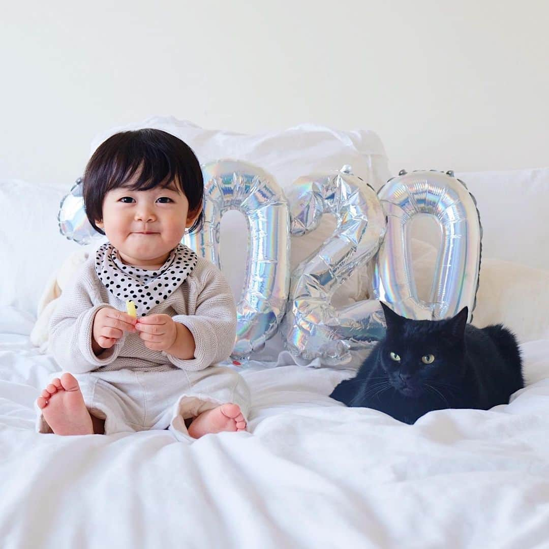 ギネス & ピムスさんのインスタグラム写真 - (ギネス & ピムスInstagram)「01/01/2020 ・ HAPPY NEW YEAR!! Here’s to a healthy and prosperous 2020! Best wishes from Guinness and Pimms with Nagi🐈🐈👦🏻 ・ ・ 皆さま あけまして おめでとうございます㊗️ 本年もギネピムと凪くん三兄弟を どうぞよろしくお願い致します♬ 皆さまにとって 素敵な1年になりますように。 今年はもっとちゃんと更新したい！ ・ ・ #ギネスくん  #ピムスくん #ギネピムと凪くん  #1yearold #生後12ヶ月 #1歳  #babyboy #男の子ベビー #赤ちゃんのいる生活 #赤ちゃんのいる暮らし #赤ちゃんと猫 #猫と赤ちゃん」1月1日 22時43分 - rina_takei