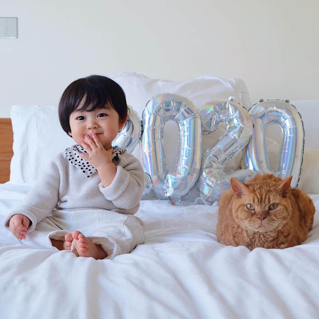 ギネス & ピムスさんのインスタグラム写真 - (ギネス & ピムスInstagram)「01/01/2020 ・ HAPPY NEW YEAR!! Here’s to a healthy and prosperous 2020! Best wishes from Guinness and Pimms with Nagi🐈🐈👦🏻 ・ ・ 皆さま あけまして おめでとうございます㊗️ 本年もギネピムと凪くん三兄弟を どうぞよろしくお願い致します♬ 皆さまにとって 素敵な1年になりますように。 今年はもっとちゃんと更新したい！ ・ ・ #ギネスくん  #ピムスくん #ギネピムと凪くん  #1yearold #生後12ヶ月 #1歳  #babyboy #男の子ベビー #赤ちゃんのいる生活 #赤ちゃんのいる暮らし #赤ちゃんと猫 #猫と赤ちゃん」1月1日 22時43分 - rina_takei