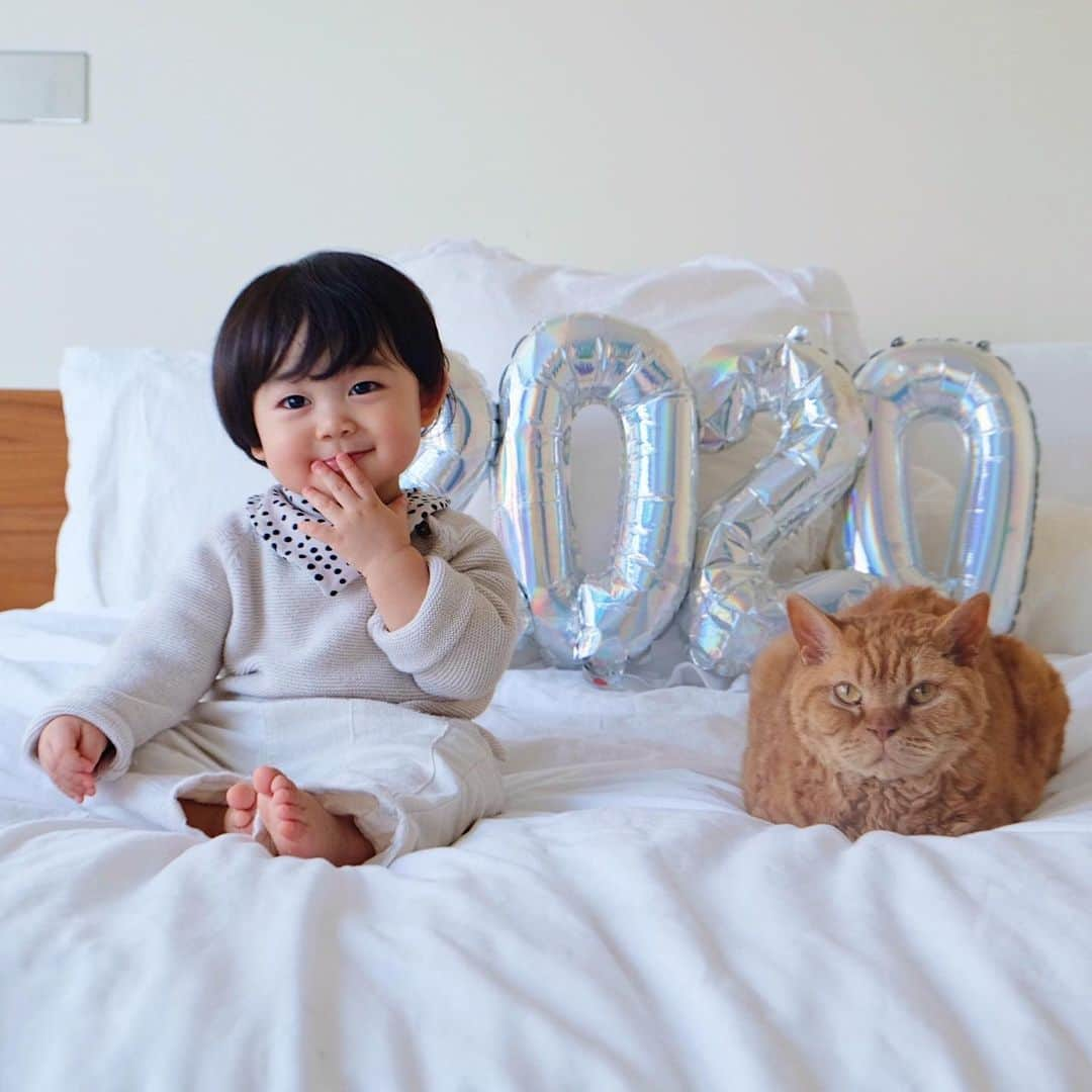 ギネス & ピムスさんのインスタグラム写真 - (ギネス & ピムスInstagram)「01/01/2020 ・ HAPPY NEW YEAR!! Here’s to a healthy and prosperous 2020! Best wishes from Guinness and Pimms with Nagi🐈🐈👦🏻 ・ ・ 皆さま あけまして おめでとうございます㊗️ 本年もギネピムと凪くん三兄弟を どうぞよろしくお願い致します♬ 皆さまにとって 素敵な1年になりますように。 今年はもっとちゃんと更新したい！ ・ ・ #ギネスくん  #ピムスくん #ギネピムと凪くん  #1yearold #生後12ヶ月 #1歳  #babyboy #男の子ベビー #赤ちゃんのいる生活 #赤ちゃんのいる暮らし #赤ちゃんと猫 #猫と赤ちゃん」1月1日 22時43分 - rina_takei