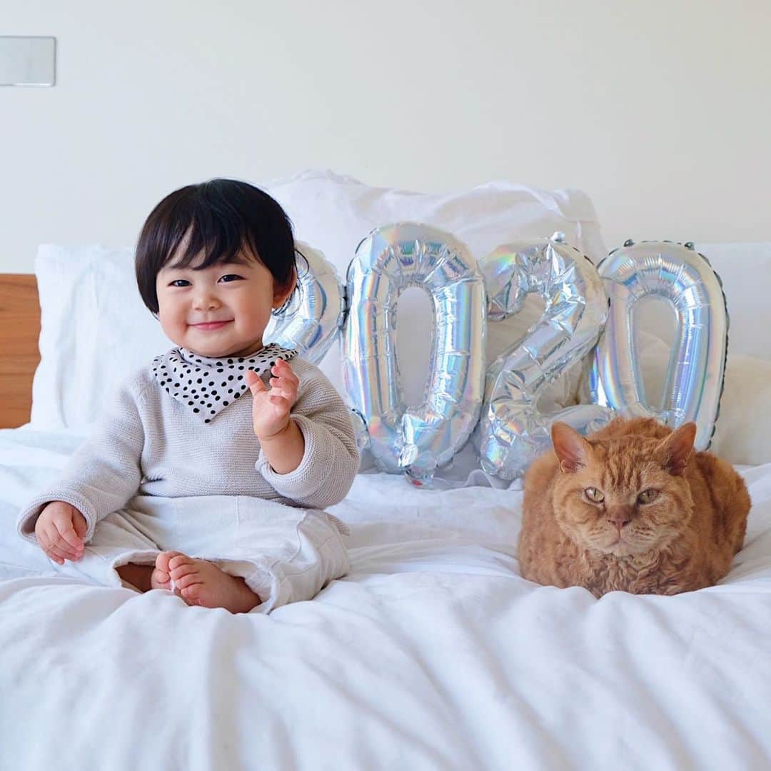 ギネス & ピムスさんのインスタグラム写真 - (ギネス & ピムスInstagram)「01/01/2020 ・ HAPPY NEW YEAR!! Here’s to a healthy and prosperous 2020! Best wishes from Guinness and Pimms with Nagi🐈🐈👦🏻 ・ ・ 皆さま あけまして おめでとうございます㊗️ 本年もギネピムと凪くん三兄弟を どうぞよろしくお願い致します♬ 皆さまにとって 素敵な1年になりますように。 今年はもっとちゃんと更新したい！ ・ ・ #ギネスくん  #ピムスくん #ギネピムと凪くん  #1yearold #生後12ヶ月 #1歳  #babyboy #男の子ベビー #赤ちゃんのいる生活 #赤ちゃんのいる暮らし #赤ちゃんと猫 #猫と赤ちゃん」1月1日 22時43分 - rina_takei