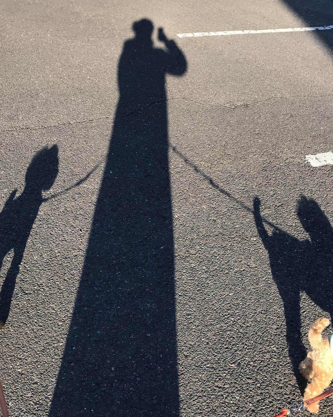 井上貴子のインスタグラム：「謹賀新年⛩2020  みなさま 本年もどーぞ ステキな1年になりますように！  アタシも出来る限り 勇気を与えることのできる エンターテイナーになれますように  みなさんのお力添えになれる存在であり続けることができますように  日々精進します。 約束します！！ 大晦日は毎年恒例 お世話になっているお家で 年越し蕎麦（プラス豪華手料理） を頂きまして…  カウントダウンは 浅草寺さんの本堂から 1年の終わりと始まりを迎えて。  バタバタバターっと 実家にて弟家族も集まって ワイワイと…  嵐のような元旦。  昼間はポカポカ暖かく 夜はキーンと空気が冷たい。  体調崩しやすいので 気をつけなくっちゃ^ ^  では  初  Happyで^ ^  #井上貴子  #LLPWX #女子プロレス #紅緒と柊音 #べにひお #トイプードル #大晦日 #年越し蕎麦 #浅草寺 #天祖神社 #謹賀新年」