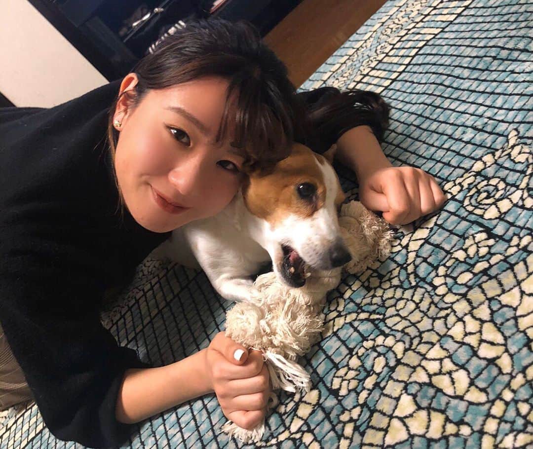 荒木悠衣のインスタグラム：「- 今年もよろしゅう🐶」