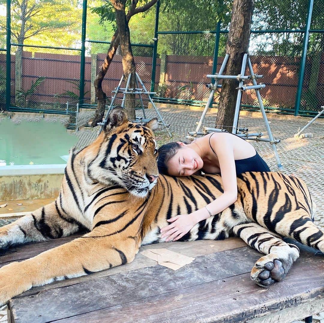 大石絵理のインスタグラム：「2020年最初の友達🐯💕 はぁ〜可愛かった。またすぐ会いたい！」
