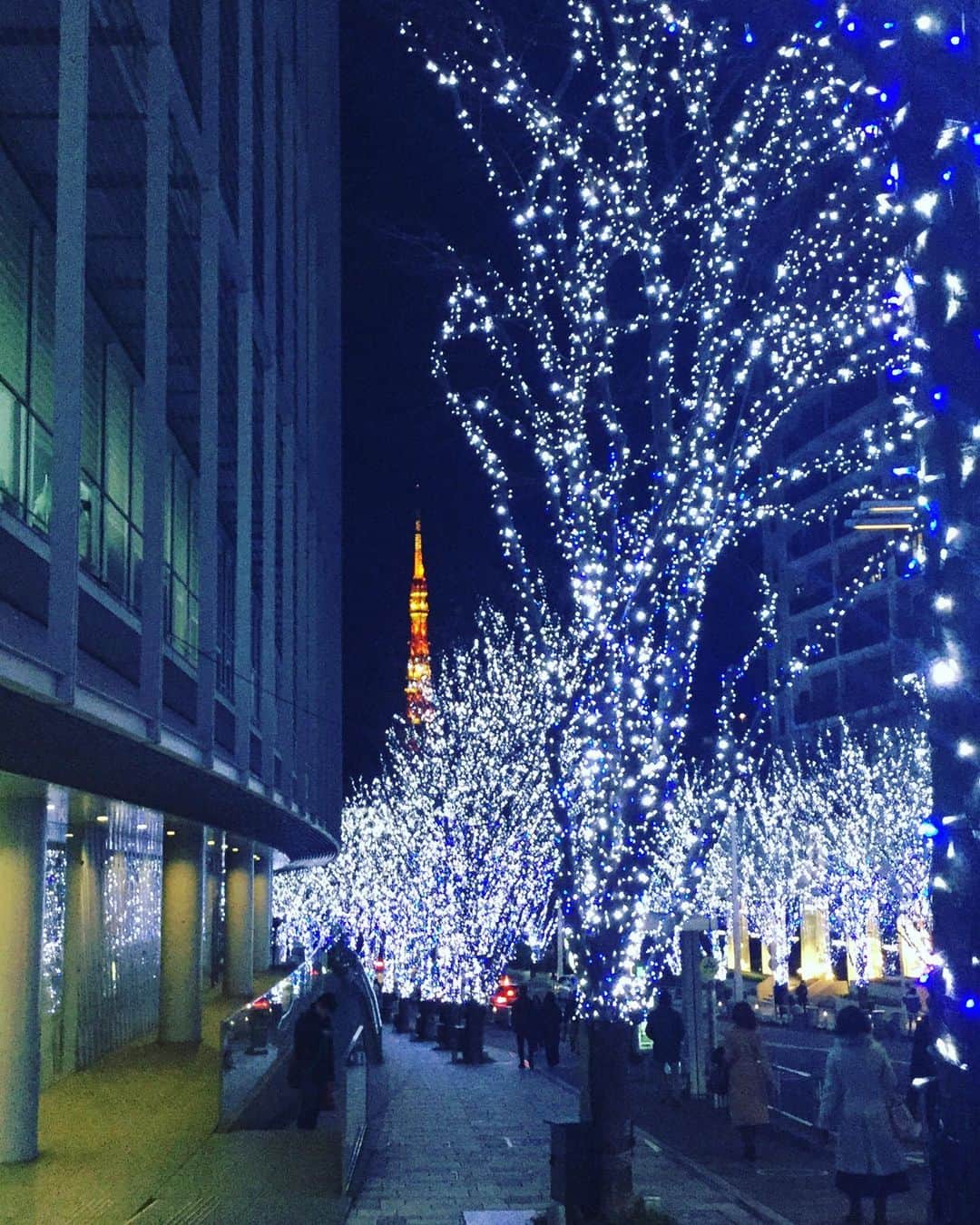 越中睦士さんのインスタグラム写真 - (越中睦士Instagram)1月1日 23時22分 - makotokoshinaka