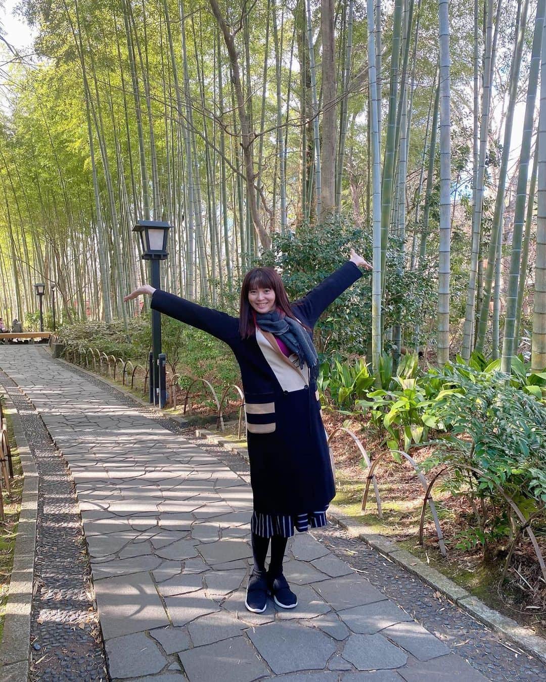 のインスタグラム：「🎍 明けましておめでとうございます✨ 2020年もよろしくお願いします🥰 #HappyNewYear2020 #令和二年 #竹林 #蓮城まこと」