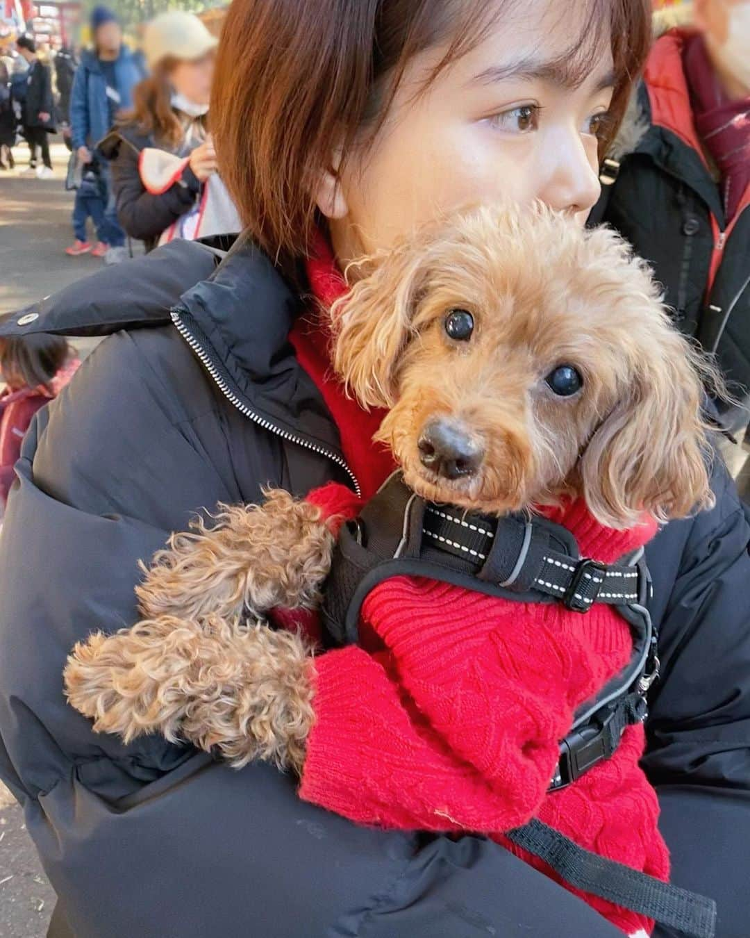 NASUさんのインスタグラム写真 - (NASUInstagram)「紅白みてBTSのVliveで年越し 録画してたKBSをみて 元旦は弟＆妹といつもの場所に初詣🤸‍♀️⛩ お昼はNYからの中継で BTSのカウントダウンライブを見終わった←今ここ 甘酒なのにノンアルだった🍶 のえちゃん眩しそうでごめん😂 #nasupのきぶん」1月1日 14時56分 - nasup