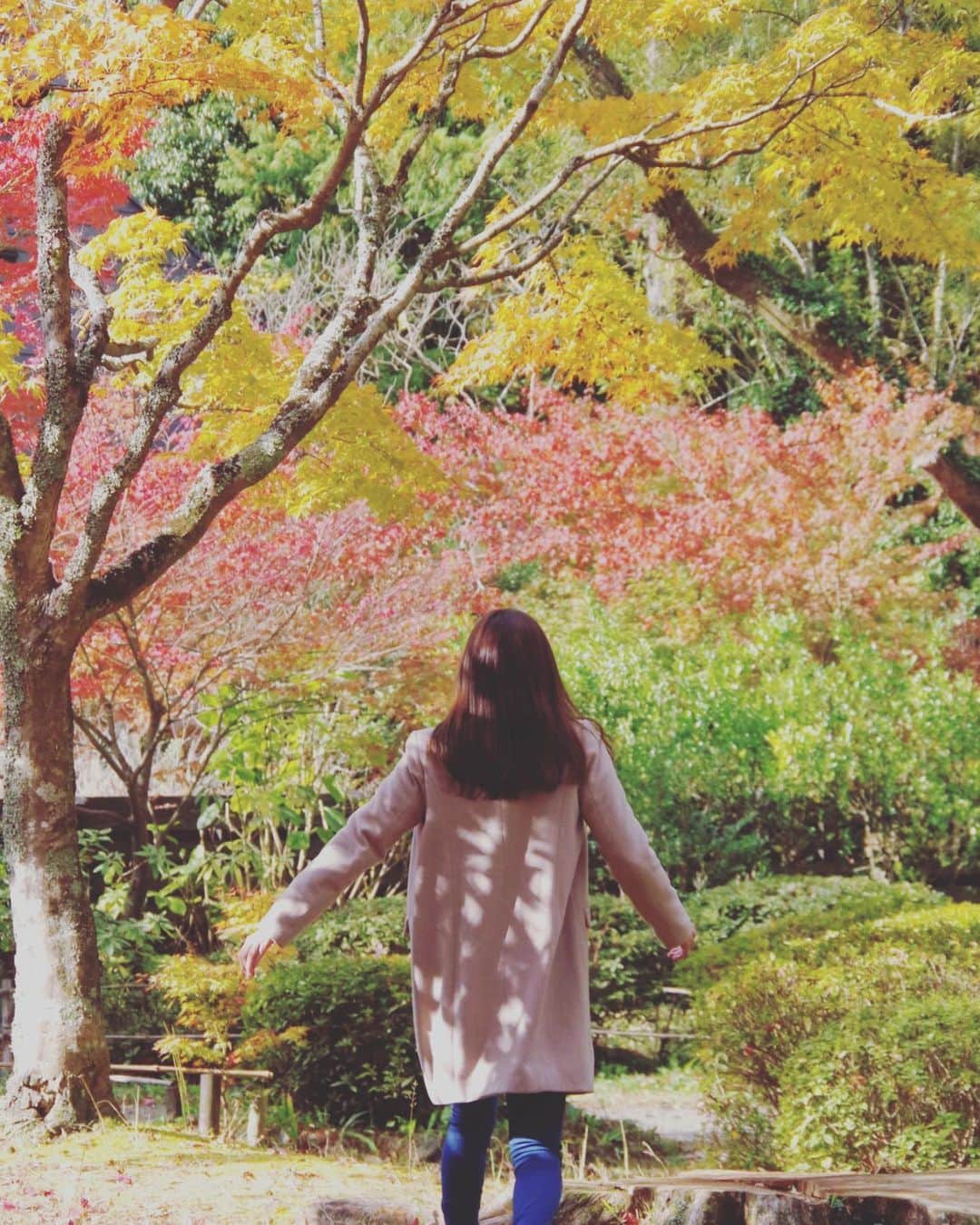 鈴丘めみのインスタグラム：「明けましておめでとうございます😊✨ 今年もよろしくお願いします💓  #挨拶 #2020 #元旦」