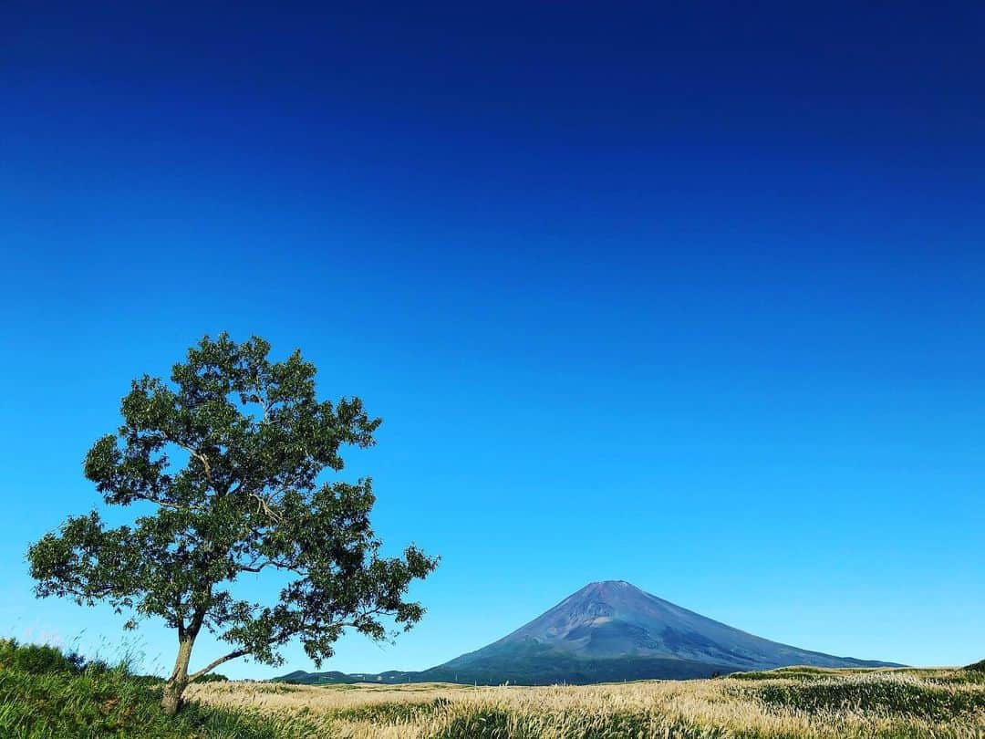 平山ユージさんのインスタグラム写真 - (平山ユージInstagram)「明けましておめでとうございます。  HappyNewYears✨🎍✨ 2019年はこれまでの人生を振り返り、いろいろな意味でのチャレンジをし、チャレンジさせて頂いた一年でした。そんな中、多くの方々と共に歩めたことを強く幸せに感じております。  飯能店であるBoulder Park Base Camp のオープン、18年の歴史を刻み参加人数が2000人を大きく超えたThe North Face Cup 2019、そして公認大会から進化を遂げたJapan Tour、さらには日本で初めて開催されたIFSCスポーツクライミング世界選手権八王子、まだまだ上げれ沢山のビックイベントが毎週のようにあり沢山の皆様にお世話になりました。  今年2020はいよいよオリンピックです。日本山岳•スポーツクライミング副会長としましてはオリンピックイヤーとして否が応でも期待は膨らむことと思いますが、選手が伸び伸びと登れる環境づくりに務めると共に東京2020後への強いビジョンを持って日本のクライミング界にお役だてできればと考えております。  そして、自分自信の目標ですが、昨年は体調を崩す場面も多々あり自身の健康なくしては何もできないことを痛いほど理解させられた一年でした。よって健康的な生活をベースにプロクライマー平山ユージとして最高のクライミングを成し遂げたいと考えていますし、株式会社Base Camp 代表取締役としましては創設10周年を迎える2020年は我々の従事するショップやジム運営、イベントやアスリートマネージメント、そして輸入業務など個々の事業で、これから先10年を見据え、より一層質を高め、クライミング界や社会、そして顧客ニーズと共に歩んで参りたいです。  最後になりますが、2020年皆様にとって幸せで恵み大きな素晴らしい一年でありますよう願っております。  本年もよろしくお願い致します。  元旦  平山ユージ」1月1日 15時10分 - yuji_hirayama_stonerider