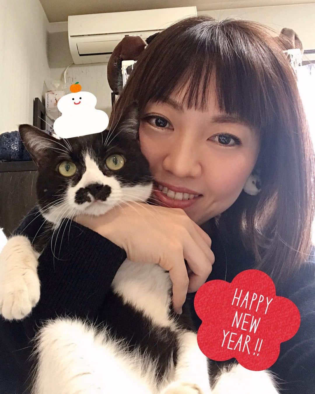 のインスタグラム：「🎍明けましておめでとうございます🎍  今年も大好きな大好きな大好きでたまらないチョッチュ具志コロペッペとみんなが健康でいてくれて日々元気に過ごしてくれることが一番の願いです。  今年もよろしくお願いします😸😸😸 昨日は坂東玉隠しシャシャ丸も一緒に餅つきしたよ😸お前は年越せて良かったな😂  #チョッチュ具志コロペッペ  #あいちゃんの腕の中  #今年もいっぱい膝に乗せてやるからな❤️」