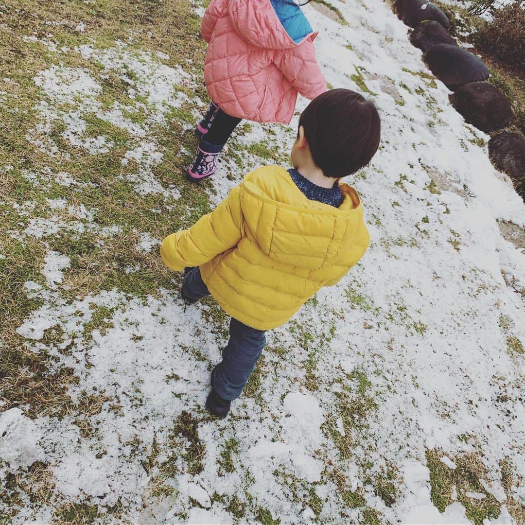 安田美沙子さんのインスタグラム写真 - (安田美沙子Instagram)「親戚達とおせち料理を作ったり、こどものご飯の飾り付けをしたり。大勢で迎えるお正月🎍✨ そのおかげで、段々と新年の実感が湧いてきた❤️ ちょっと雪も降って、また違う世界が広がっていました🌈✨ . . . #instagood #japanese #instafood #おせち料理 #みさこクッキング #family #伊達巻 #栗きんとん  #紅白なます  #みんなのお料理 #食べ続ける」1月1日 15時42分 - yasuda_misako