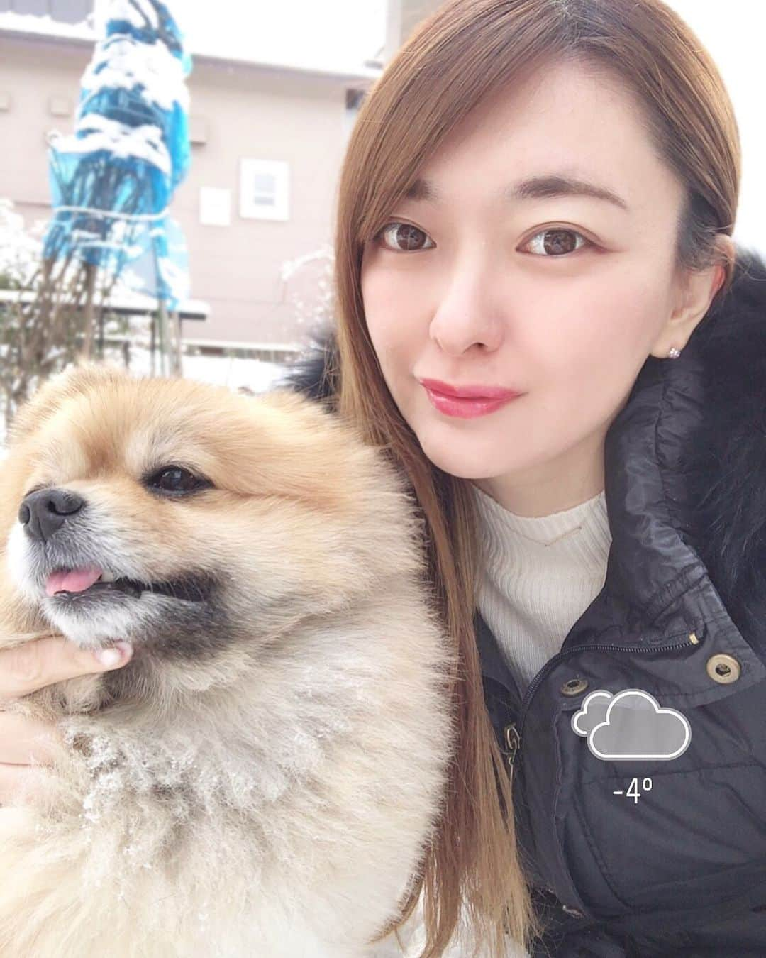 菊池かなこさんのインスタグラム写真 - (菊池かなこInstagram)「. . 結局犬の散歩しか家から出ずに 北海道滞在終了☃️ . . #2020年#令和2年#2020 #happynewyear#謹賀新年#元旦 #ポメラニアンが世界一可愛い」1月1日 15時47分 - canana_kanako