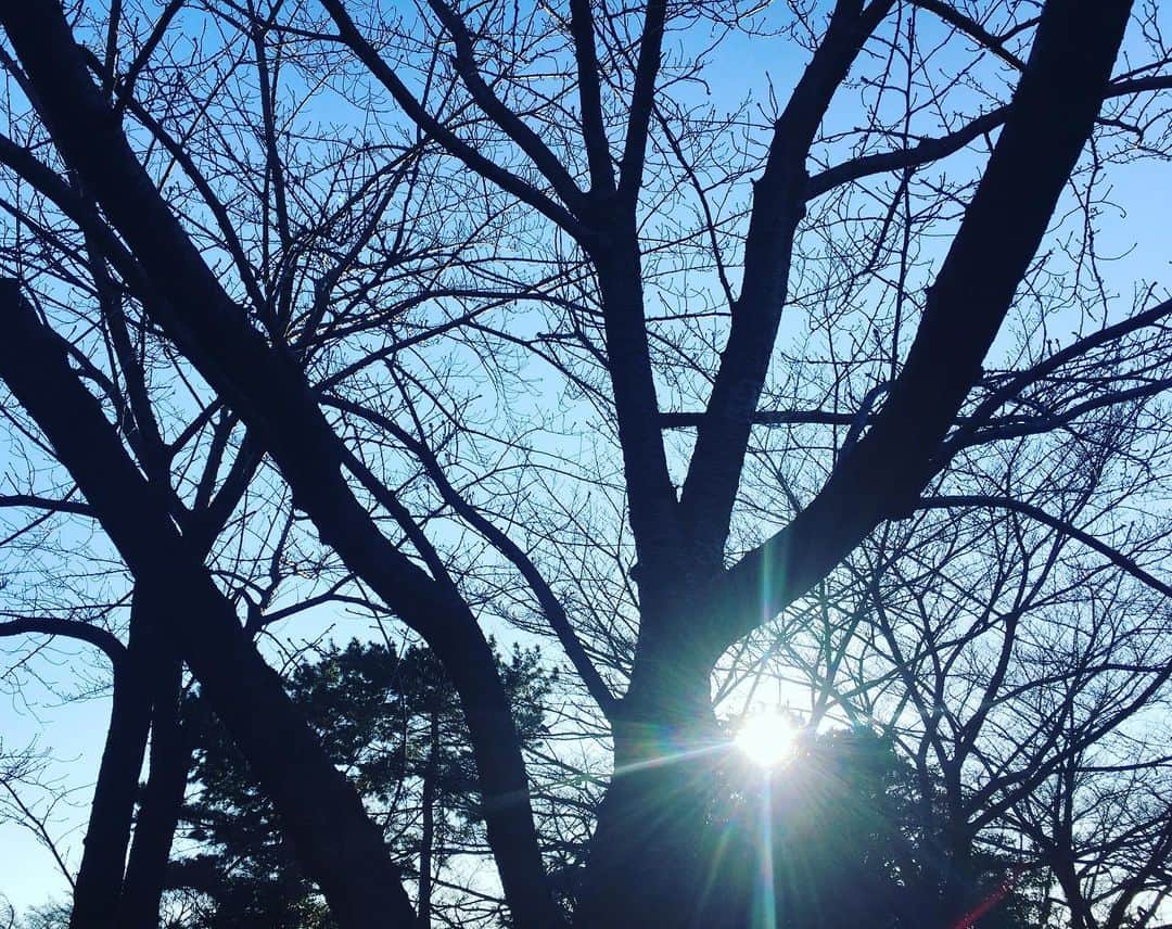 川江美奈子さんのインスタグラム写真 - (川江美奈子Instagram)「#本年もよろしくお願いいたします #桜の木の下で #2020」1月1日 15時47分 - minakokawae
