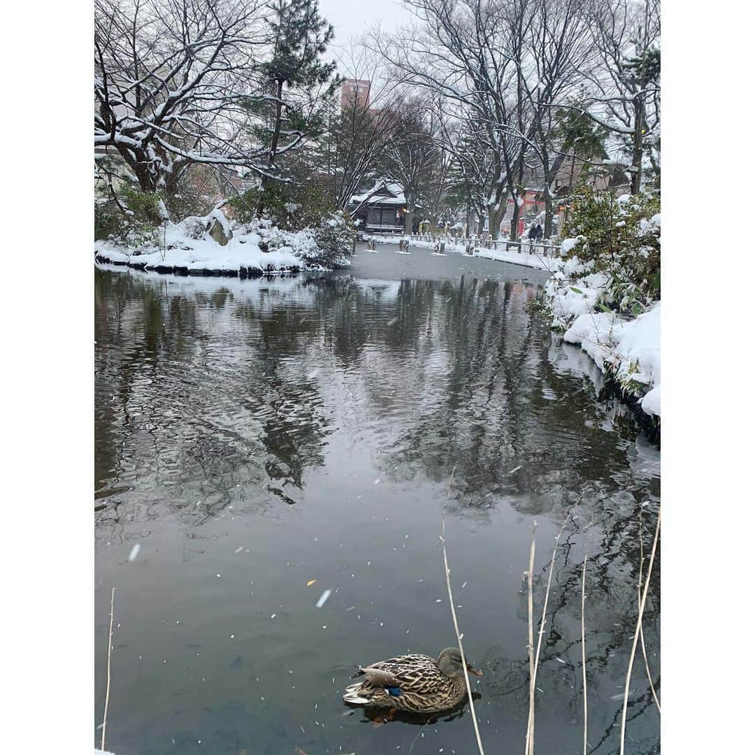 YU-U（工藤由布）さんのインスタグラム写真 - (YU-U（工藤由布）Instagram)「今年もまた善知鳥神社へ⛩🦆 よく遊んでた池が半分凍ってた❄️❄️❄️笑 おまけでチャイ🐶とのツーショット👘🐶 ・・・ #善知鳥神社 #青森 #初詣」1月1日 15時57分 - nyan22u22nyan