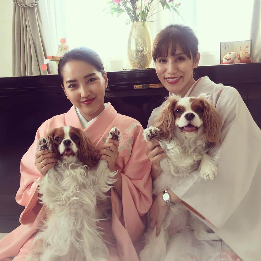 奥山春香さんのインスタグラム写真 - (奥山春香Instagram)「明けましておめでとうございます🎍 皆様にとって素敵な一年になりますように🦢」1月1日 16時05分 - corvetteharuka