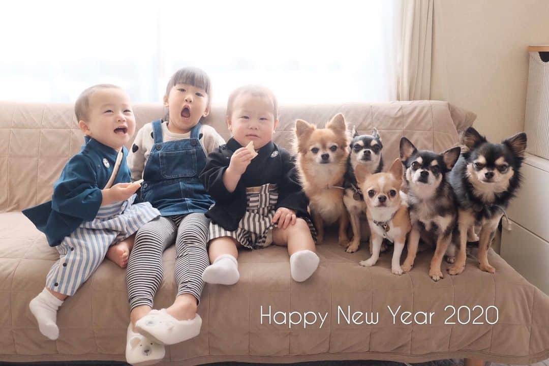 maika_kikitoyjijiさんのインスタグラム写真 - (maika_kikitoyjijiInstagram)「. Happy new year 2020!!! . あけましておめでとうございます♡ 更新はゆっくりめですが 2020年もキキトイジジファミリーを よろしくお願いします☺️❤️ 素敵な2020年になりますように✨ . . #犬と子供 #子供と犬 #instakids #chihuahua #dog #チワワ #犬 #치와와 #weeklyfluff #ふわもこ部 #IGersJP #dogstagram #chihuahuaoftheday #犬バカ部 #whim_fluffy #dog_features #dogsofinstagram #いぬすたぐらむ #犬と赤ちゃん #赤ちゃんと犬 #子育て #双子 #ママスタグラム  #袴 #新年 #あけましておめでとうございます #happynewyear2020 #2020年」1月1日 16時43分 - maika_kikitoyjiji