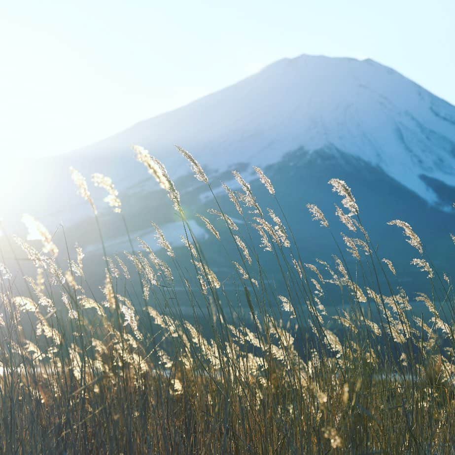 japanese forest & web designer　kapiosanのインスタグラム