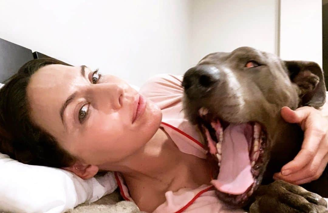 ウィットニー・カミングスさんのインスタグラム写真 - (ウィットニー・カミングスInstagram)「My NYE in a nutshell. Bed, pups, and watching everyone on Instagram have way more fun than me. Sending love to everyone out who don’t have the night off, out there working their asses off in hospitality so everyone else can have fun. Let me know where you’re working in the comments so I can send love. #happynewyear」1月1日 17時09分 - whitneycummings