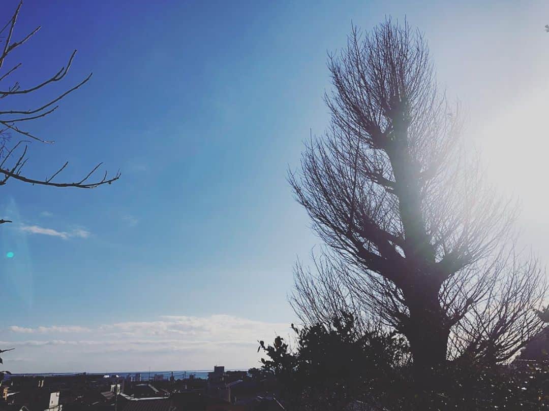 のインスタグラム：「新年明けましておめでとうございます🎍初詣は海が見える地元の神明様へ。2020年がすべての人にとって、幸せな一年になりますように。エシカル、マジカル〜🌈Happy New Year✨」