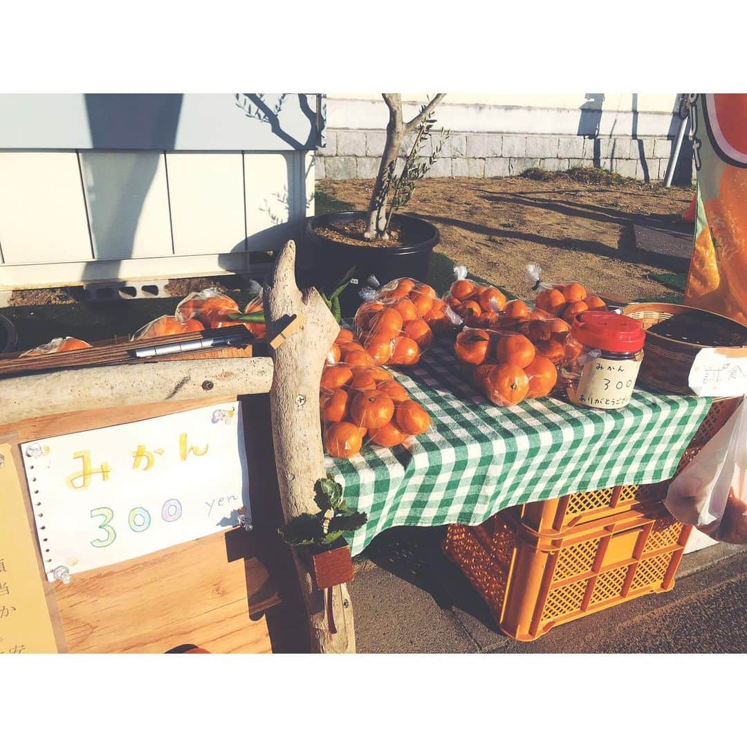 今村仁美さんのインスタグラム写真 - (今村仁美Instagram)「あけましておめでとうございます🎍 今年は30歳の歳です✨ 楽しみで仕方ない😊 1日1日大切に楽しみたいと思います！💋 今年も宜しくお願い致します♡ #2020」1月1日 17時40分 - imamura_hi