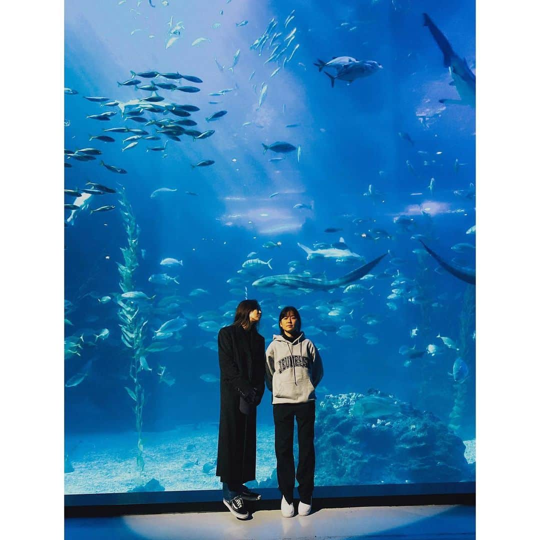 チョン・リョウォンさんのインスタグラム写真 - (チョン・リョウォンInstagram)「. i always heard flowers and aquariums  were theraputic. i never believed it but now i do-  예전에 이런말을 들은적이 있다. 큰힘을 들이지 않고 가만히 쳐다보는것만으로도 치유가 되는게 꽃이랑 수족관이라고. . 꽃들을 뒤늦게 좋아하게 되면서 그것이 주는 즐거움이 무엇인지 새삼 느끼고 놀라던터라 . 무작정 쉬는 날을 잡아  우리나라에서 가장 큰 수족관에 갔다. 주변 소음을 듣지않고  좋은 음악리스트를 따로 챙겨왔으면 하루종일 앉아있을수 있었을텐데 아쉬워 하면서도 마음이 엄청 정화되고 정리되는걸 느꼈다. 너무 신기하다. . 새해는. 정화되고 정리된 마음으로- .」1月1日 18時19分 - yoanaloves