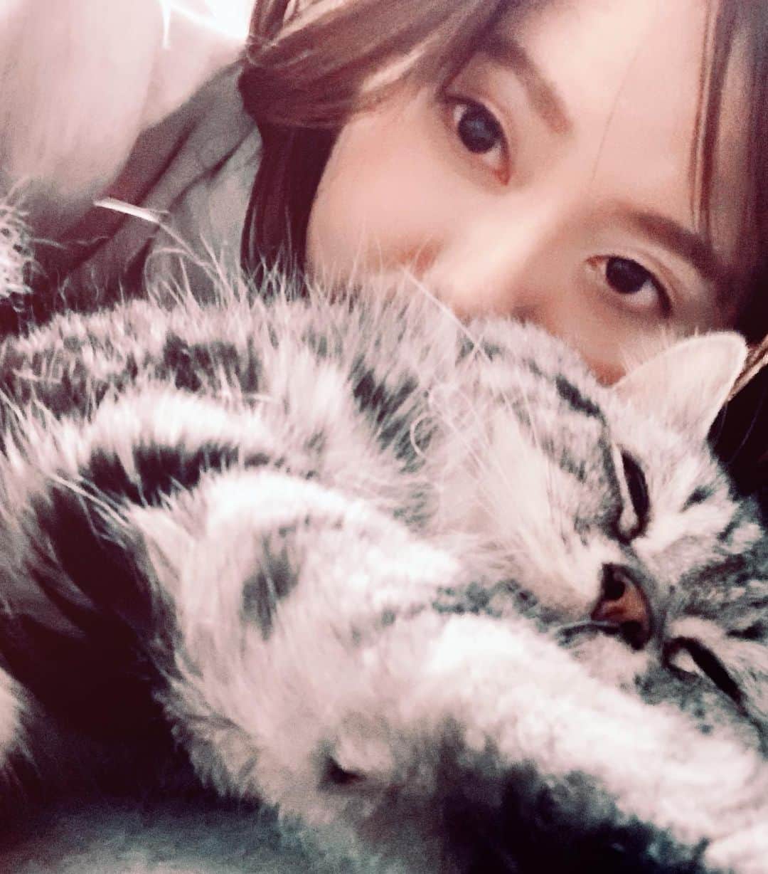 奥山レイカさんのインスタグラム写真 - (奥山レイカInstagram)「明けましておめでとうございます🌅 今年もよろしくお願いします🙌 今年はもう少し料理写真を撮る努力をして インスタに上げられるように頑張ろうかな😌✨ #ネコ #猫 #ねこすたぐらむ」1月1日 18時51分 - rks631