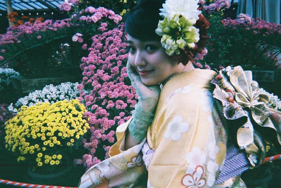 若本美夏海さんのインスタグラム写真 - (若本美夏海Instagram)「明けましておめでとうございます！2020年😌🙏  . . . #2020 #jppan #kimono #kimonostyle  #着物 #振袖 #振袖ヘアアレンジ #振袖メイク　#写ルンです #写ルンですのある生活」1月1日 19時01分 - minami_wakamoto