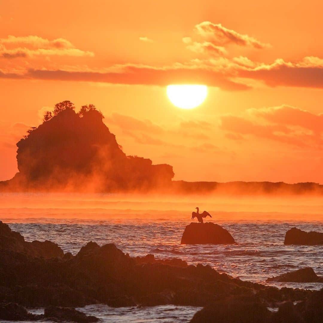 Visit Wakayamaさんのインスタグラム写真 - (Visit WakayamaInstagram)「.⠀ Ringing in the new year with the sunrise on the #Kushimoto Coast. May #2020 be as beautiful as this.⠀ 📸: @ketunori_photography」1月1日 19時00分 - visitwakayama