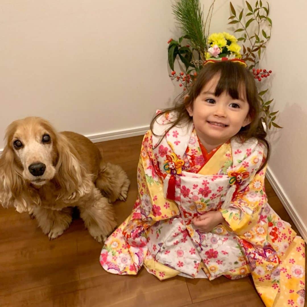 舟橋菜々さんのインスタグラム写真 - (舟橋菜々Instagram)「新年明けましておめでとうございます🎍⛩🌅 今年も宜しくお願い致します🙏🏻☺️ 皆さんが幸多き一年となりますように🍀✨🍀✨🍀 Happy new year! I hope everyone has a wonderful year! #newyear#2020#beautiful#kimono#kid#dog#englishcockerspaniel#justbaby#instababy#happy#smile#love#cute#新年#元旦#着物#御節#子供#犬#イングリッシュコッカースパニエル#育児#子育て#親バカ部#ベビフル#ママリ#コドモノ」1月1日 19時44分 - wombatnana