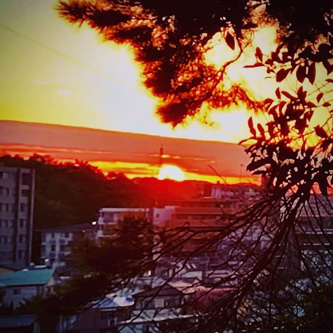 松井礼明さんのインスタグラム写真 - (松井礼明Instagram)「2020年、初日の出。 今年もめんたいワイド、FBSをどうぞ宜しくお願いします！ 光の道？凄く綺麗で、感動。  #めんたいワイド #光の道 #鳥飼八幡宮 #初日の出 #30分待ちましたよ #FBS #共有した #夕陽と同じくらい綺麗 #写真好きな人と繋がりたい #beautifulephoto #fukuokaphoto #beautifuljapan」1月1日 19時57分 - hiroaki.matsui1976
