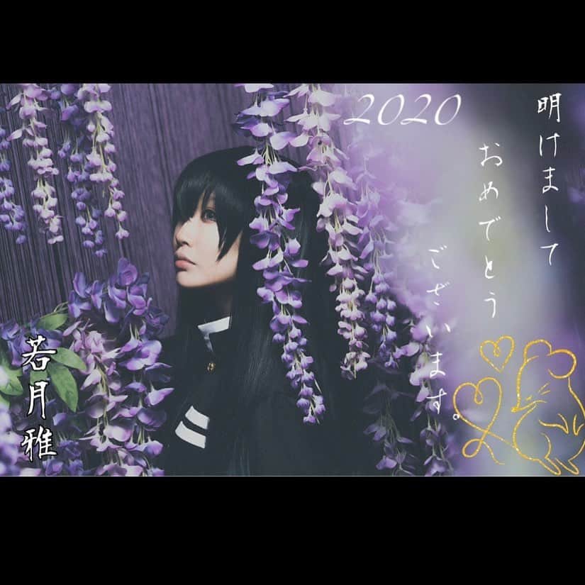 若月雅のインスタグラム：「明けましておめでとうございます🌅 今年も宜しくお願い致します！ . わんこ達は晴れ着姿に、ママの御節食べて日本酒飲んでのんびりしてます(´∀｀)✨ 4.5枚目は🆖写メ。笑 . コスイベ始めは、1/5の神戸ハーバーランドにて"かみこす!"です✨ . #謹賀新年 #御節  #チワワ #ヨークシャテリア #愛犬との暮らし  #2020年」