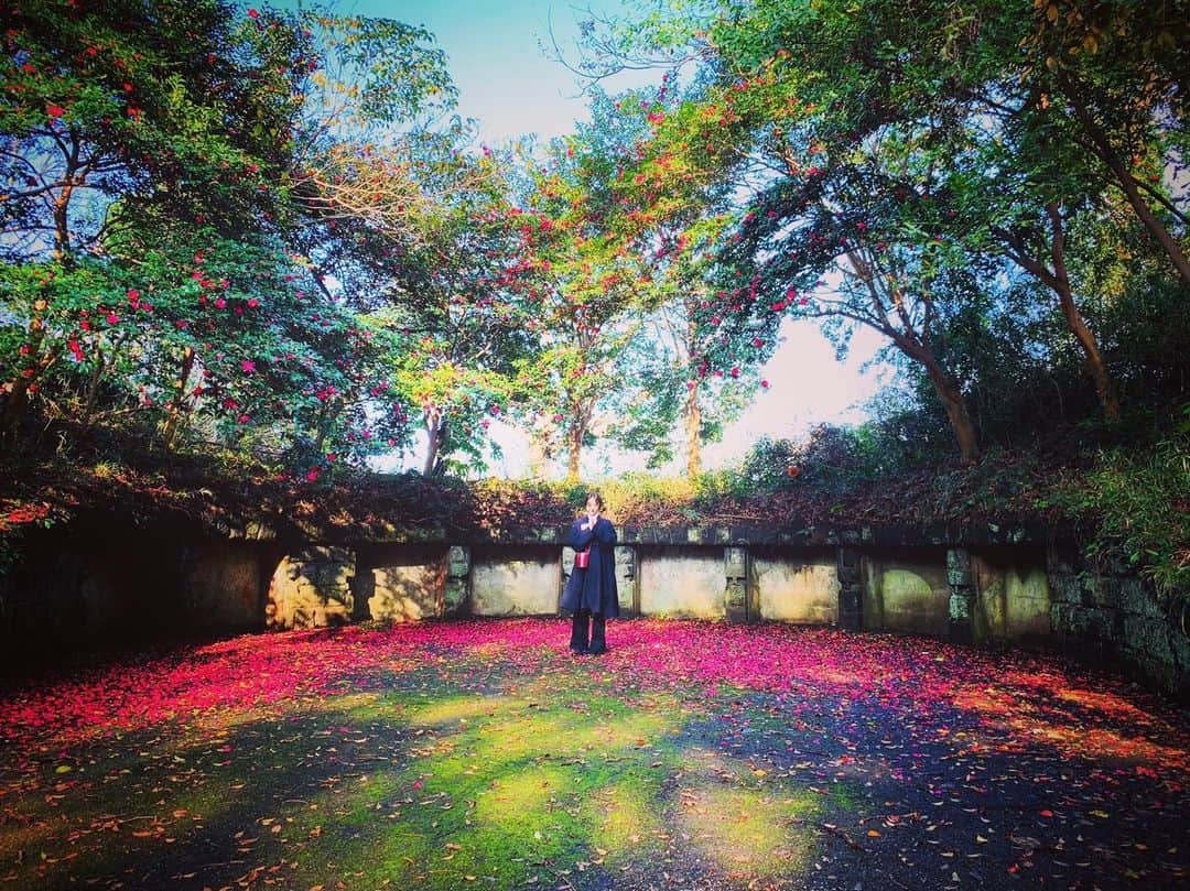 山本美月さんのインスタグラム写真 - (山本美月Instagram)「明けましておめでとうございます！ 今年もよろしくお願いします☽  2020年は、 ドラマ『ランチ合コン探偵』からスタートします！ 今年も頑張るぞ！！」1月1日 20時20分 - mizuki_yamamoto_official