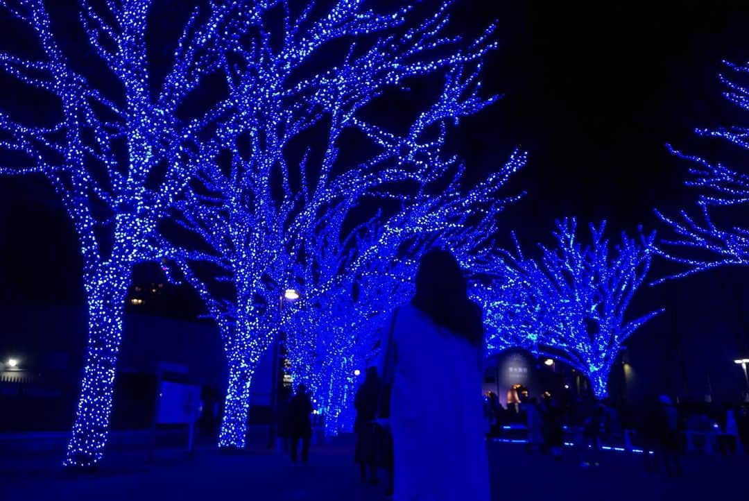 R!Nのインスタグラム：「Me in Blue  #青の洞窟 #Blue #イルミネーション #渋谷」