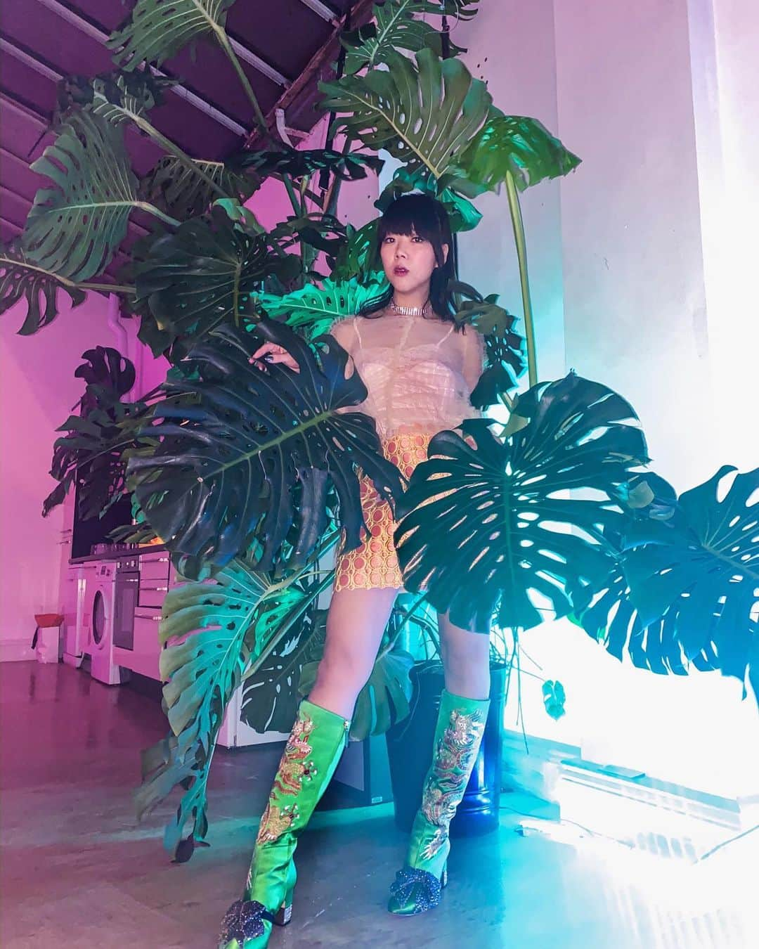 スージー・ロウさんのインスタグラム写真 - (スージー・ロウInstagram)「Hoping I grow as tall, free, wild yet, firmly rooted as this cheese plant in 2020 🌿🌱☘️🍀🍃 Happy new year whenever you all are 💚💚💚」1月1日 22時07分 - susiebubble