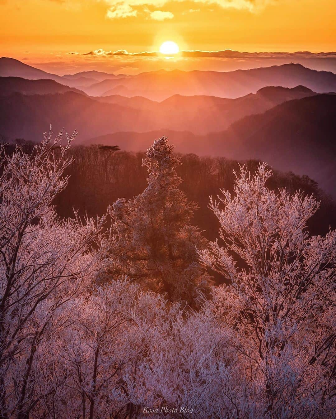 コサさんのインスタグラム写真 - (コサInstagram)「2020年 初日の出🌅 気温-6度で強風という悪条件の中でしたが、美しい初日の出を見ることが出来ました👍 . Location:和歌山 Wakayama / Japan Data:2020.1.1 . #たな旅 #護摩壇山 #初日の出2020 #初日の出 #ap_japan_member #japan_bestsunset #igsunset #icu_sunset #sunset_minas #YourShotPhotographer #art_of_japan_ #tokyocameraclub #dpj_member #team_jp_ #IG_PHOS #photo_jpn #ptk_japan #pt_life_ #bestjapanpics #Lovers_Nippon #light_nikon #sorakataphoto #LBJ_VIP #広がり同盟メンバー #nipponpic_member #special_spot_member #s_shot #japan_of_insta #bestphoto_japan #楽天トラベルふゆたび」1月2日 9時00分 - kosa_photo