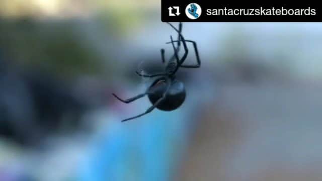 岡本碧優のインスタグラム：「HAPPY NEW YEAR!  New episode is live for 2020🔥 Link in my bio! 👁👁👁👁 #Repost @santacruzskateboards ・・・ #SCMinions Episode 4 is now LIVE 📡 Head to our YouTube to watch now 📺 Link in bio! #SantaCruzSkateboards 🎥 @thekillatapes @curbkiller @_nickhanson @mikethomastv  @mktaxi.jp @santacruzskateboards @santacruzwmns @independenttrucks @rictawheels @bronsonspeedco @dcshoes_japan @dc_skateboarding @hi_5.skatepark @division_osaka @triforce_krew #6556skateboarding」