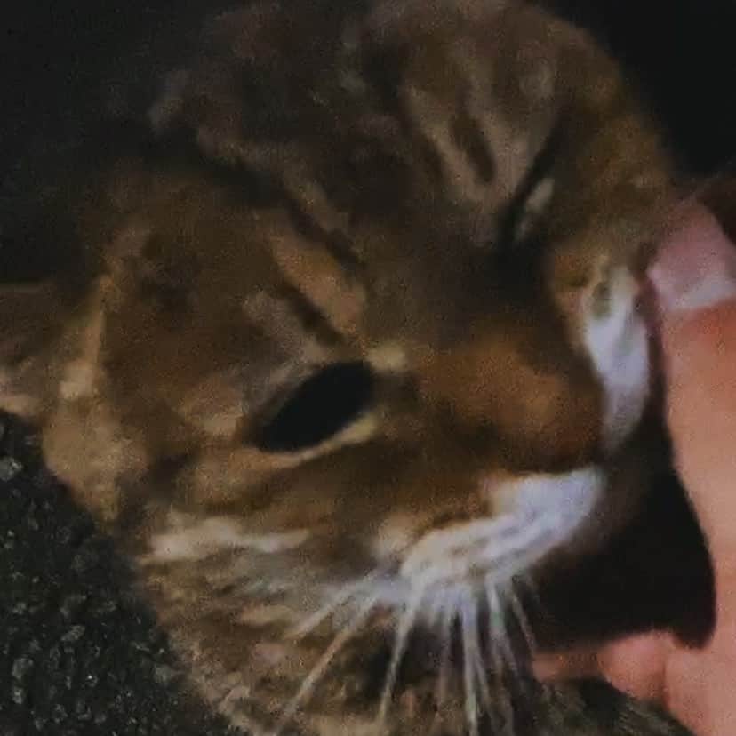 Daisukeのインスタグラム