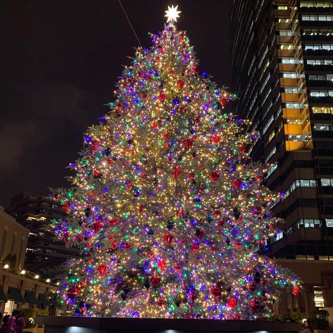 北村真姫さんのインスタグラム写真 - (北村真姫Instagram)「「クリスマス🎄」﻿ ﻿ ﻿ お友達とクリスマスツリーを﻿ 恵比寿に見に行ったり﻿ dinner🍴したり、﻿ 沢山語ったよ！！！﻿ ﻿ ﻿ #クリスマス #ツリー #クリスマスツリー #綺麗 #インスタ映え #周りは #カップル #だらけ #元 #アイドル #最近 #Instagram #更新率 #低くなって #ごめんなさい #まきてぃ #北村真姫」1月2日 0時20分 - kitamura__maki