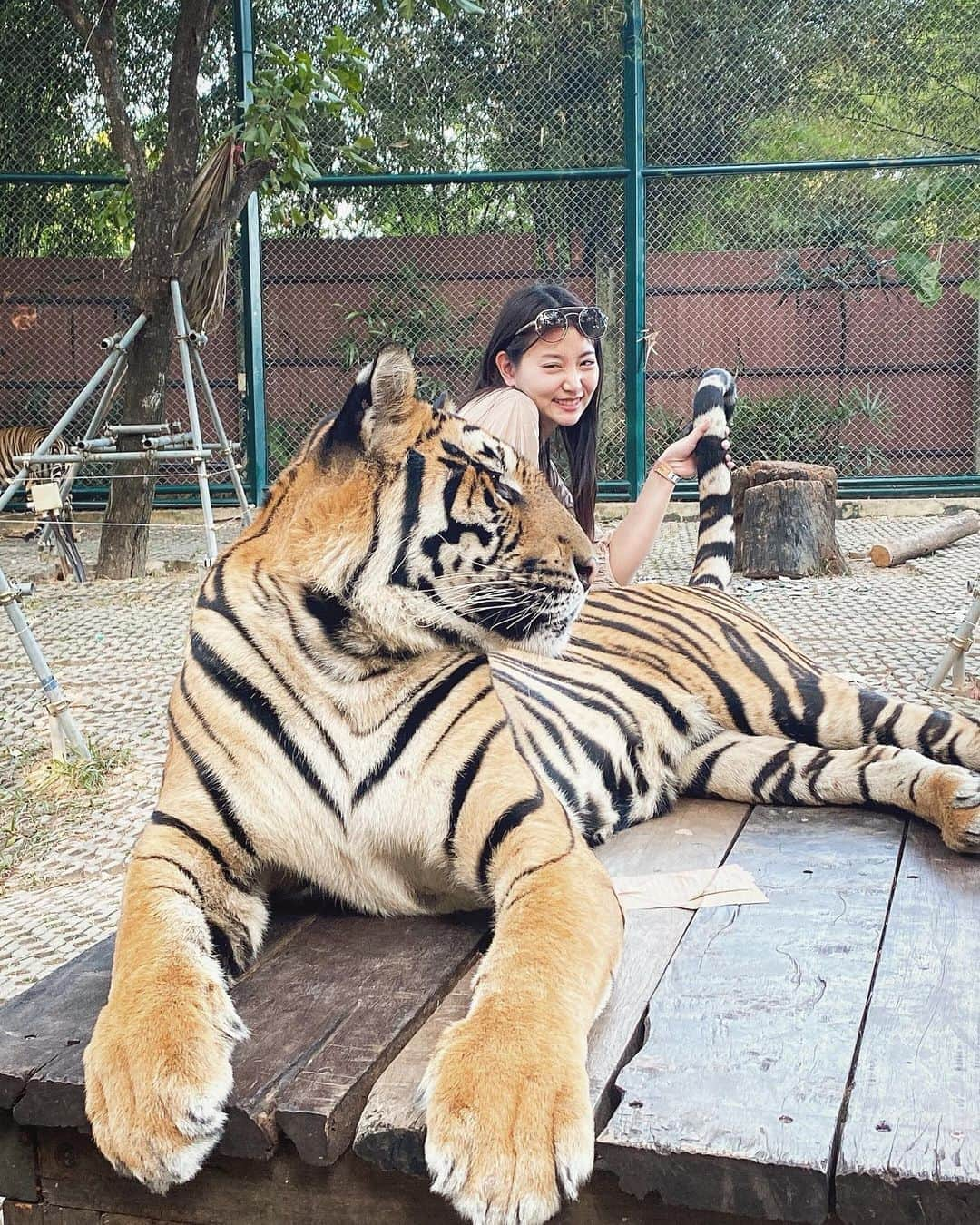 永尾まりやさんのインスタグラム写真 - (永尾まりやInstagram)「𝙏𝙞𝙜𝙚𝙧 🐅　（大） 怖すぎたので苦笑いす」1月2日 0時52分 - mariyagi_san