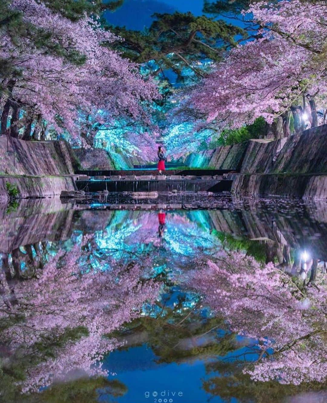 Wonderful Placesさんのインスタグラム写真 - (Wonderful PlacesInstagram)「Spring in Japan ✨🌸🌸🌸✨ . Pictures by ✨✨@godive2000✨✨ #wonderful_places for a feature 💖」1月2日 1時25分 - wonderful_places