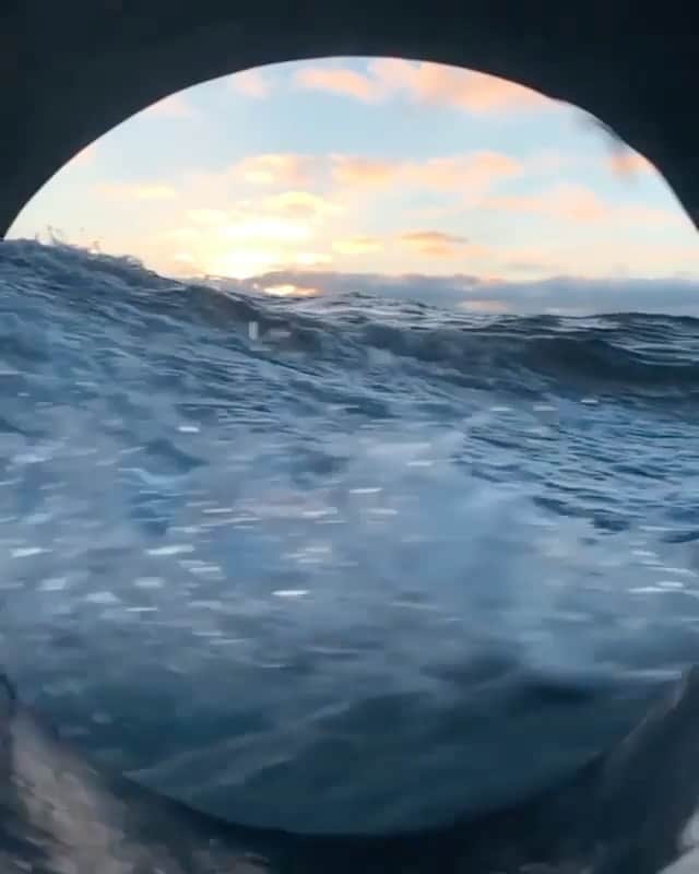 WildLifeのインスタグラム：「Follow @jalilnajafov for more amazing videos 🦈」