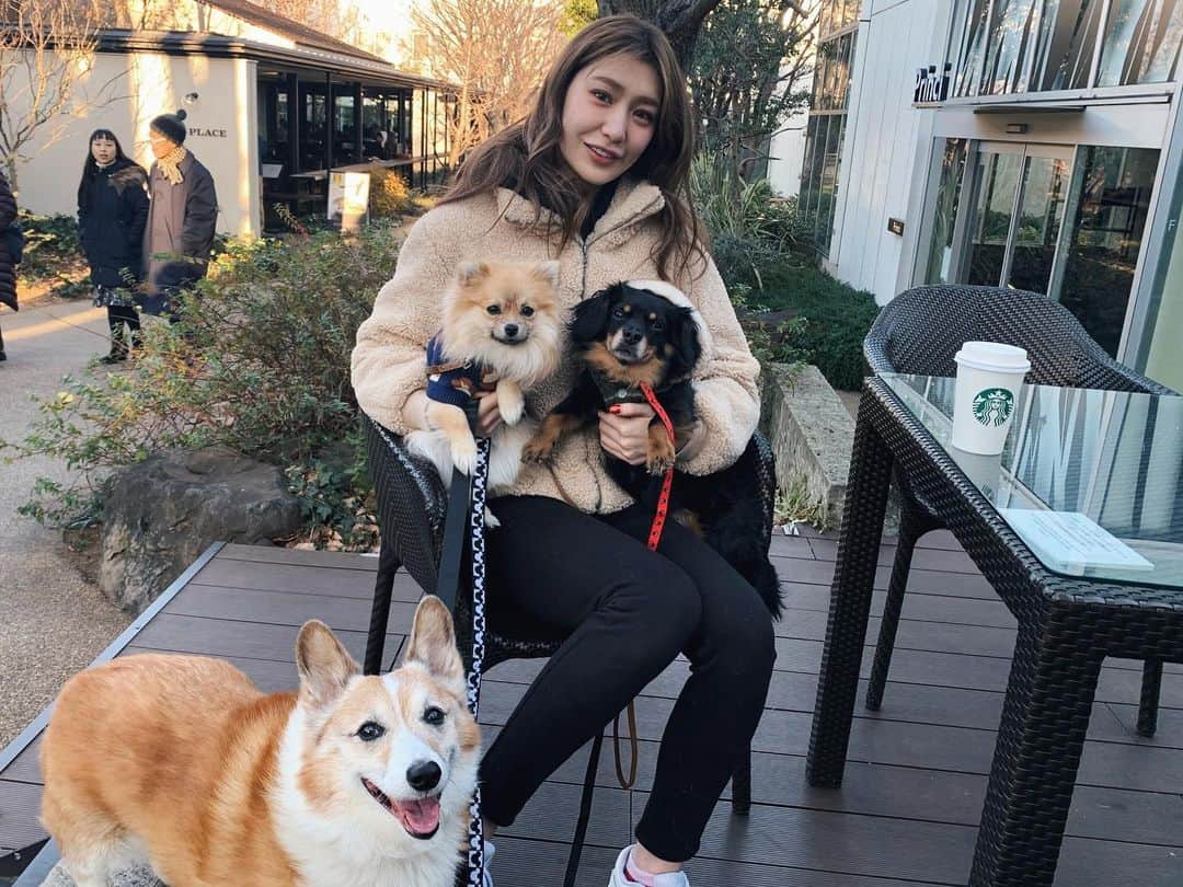 上福ゆきさんのインスタグラム写真 - (上福ゆきInstagram)「- new year with ☕️🐕 #starbuckscoffee  #ilovemybabies」1月2日 2時47分 - yuki_kamifuku