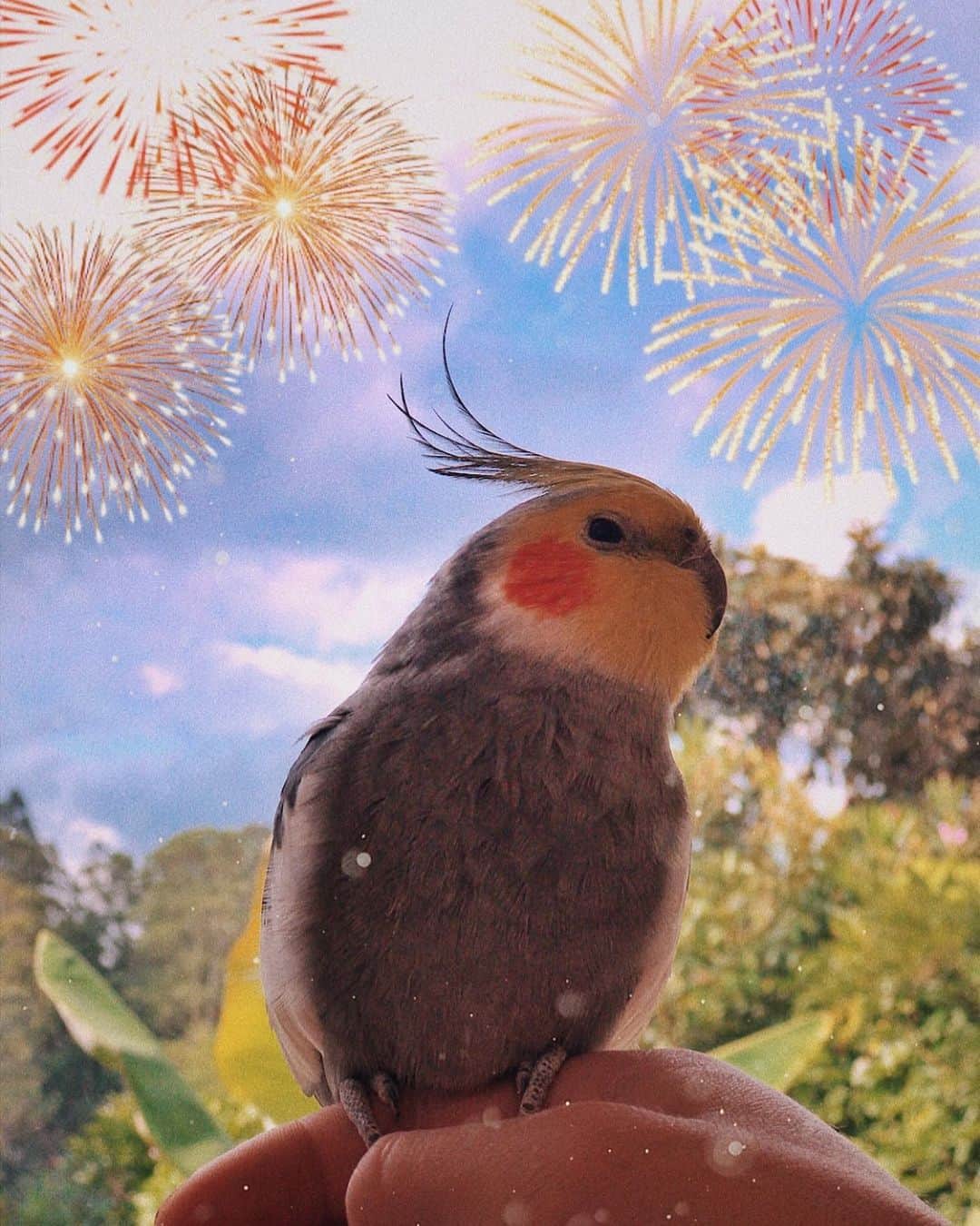 Jackのインスタグラム：「Happy new year friends 💛🥰✨」