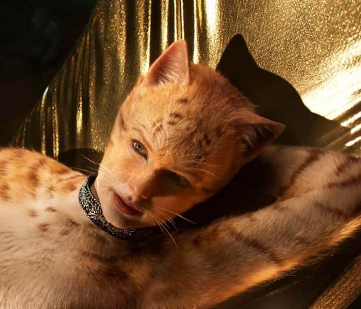 ハリウッド・リポーターさんのインスタグラム写真 - (ハリウッド・リポーターInstagram)「Tom Hooper's #CatsMovie presently stands to lose at least $50 million to $75 million against a budget of roughly $100 million before marketing. Go inside what went wrong at the link in bio.」1月2日 5時00分 - hollywoodreporter