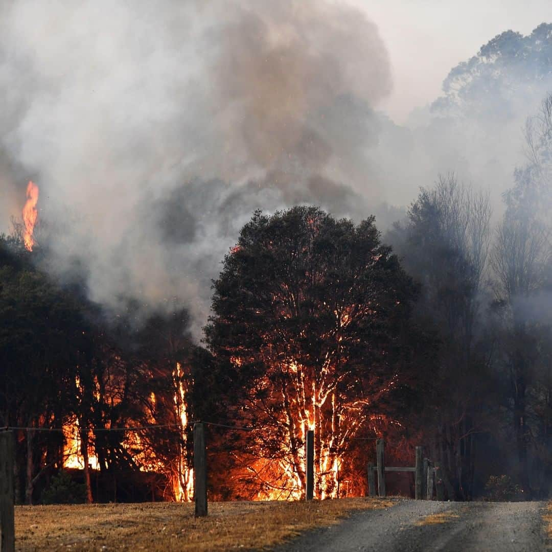 CNNさんのインスタグラム写真 - (CNNInstagram)「Follow ➡️@cnnclimate ➡️Australians are facing a terrifying start to the new year, as bushfires ripped through popular tourist spots on the country’s southeast coast, forcing thousands to take refuge on nearby beaches, and killing at least seven people since Tuesday. The Rural Fire Service has urged all visitors to evacuate the “Tourist Leave Zone,” which covers swaths of New South Wales, before Saturday when temperatures will reach 104 degrees Fahrenheit. NSW has been hardest hit among the states in Australia — fires have burned more than 3.6 million hectares of land statewide since July. Australia is experiencing one of its worst droughts in decades, and experts say climate change has worsened the scope and impact of natural disasters like fires and floods. (📸: PETER PARKS/AFP via Getty Images,  SAEED KHAN/AFP via Getty Images)」1月2日 5時01分 - cnn