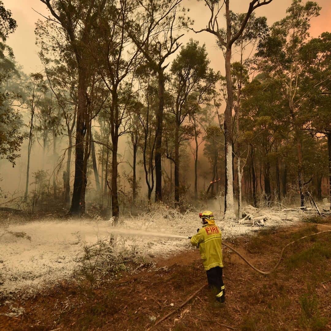 CNNさんのインスタグラム写真 - (CNNInstagram)「Follow ➡️@cnnclimate ➡️Australians are facing a terrifying start to the new year, as bushfires ripped through popular tourist spots on the country’s southeast coast, forcing thousands to take refuge on nearby beaches, and killing at least seven people since Tuesday. The Rural Fire Service has urged all visitors to evacuate the “Tourist Leave Zone,” which covers swaths of New South Wales, before Saturday when temperatures will reach 104 degrees Fahrenheit. NSW has been hardest hit among the states in Australia — fires have burned more than 3.6 million hectares of land statewide since July. Australia is experiencing one of its worst droughts in decades, and experts say climate change has worsened the scope and impact of natural disasters like fires and floods. (📸: PETER PARKS/AFP via Getty Images,  SAEED KHAN/AFP via Getty Images)」1月2日 5時01分 - cnn